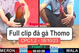 Phát lại đá gà Campuchia Thomo CPC1-2 18102023
