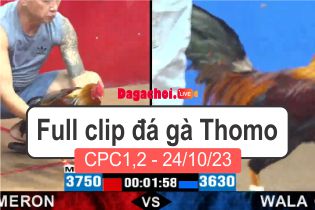 Phát lại đá gà Campuchia Thomo CPC1-2 24102023