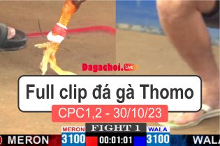 Phát lại đá gà Campuchia Thomo CPC1-2 30102023