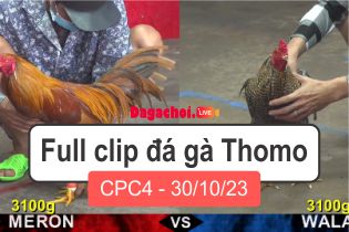 Phát lại đá gà Campuchia Thomo CPC4 30102023