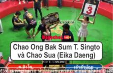 Chao Ong Bak Sum T. Singto và Chao Sua (Eika Daeng)