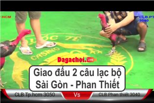Giao đấu 2 câu lạc bộ Sài Gòn Phan Thiết