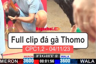 Phát lại đá gà Campuchia Thomo CPC1-2 04112023