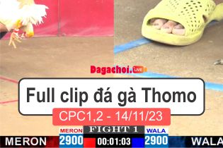 Phát lại đá gà Campuchia Thomo CPC1-2 14112023