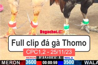 Phát lại đá gà Campuchia Thomo CPC1 25112023