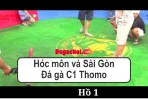 Hóc môn và Sài Gòn – Đá gà C1 Thomo