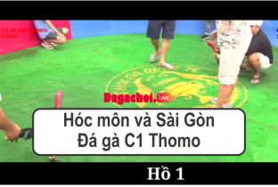 Hóc môn và Sài Gòn – Đá gà C1 Thomo