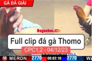 Phát lại đá gà Campuchia Thomo CPC1 04122023