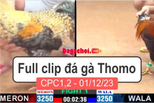Phát lại đá gà Campuchia Thomo CPC2 01122023