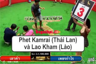 Phet Kamrai (Thái Lan) và Lao Kham (Lào)